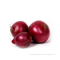 Gansu onion small red onions Round Dark Red Dry Onion fresh from Farm